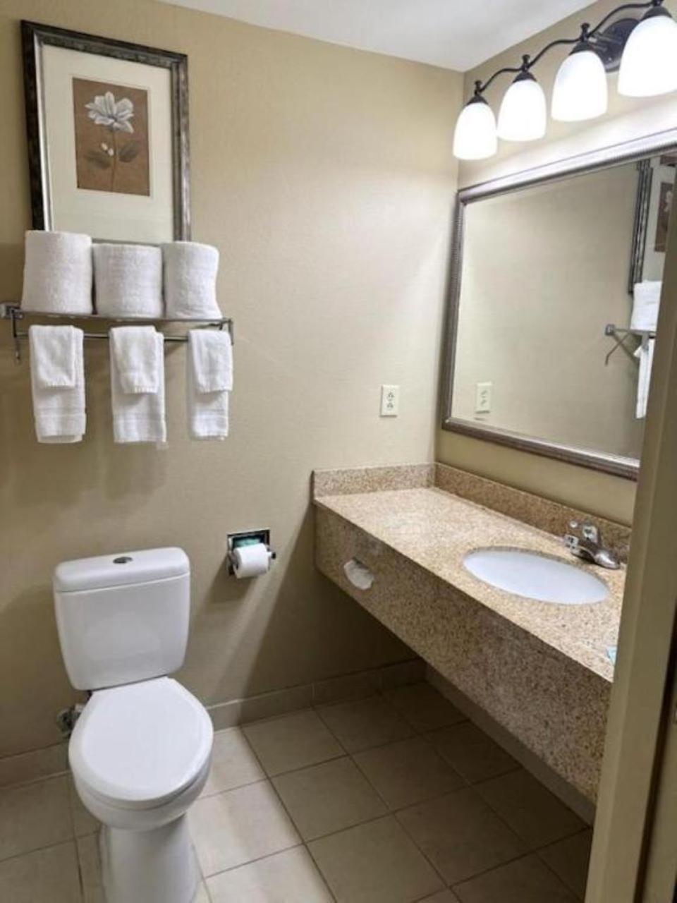 Country Inn & Suites By Radisson, Tuscaloosa, Al מראה חיצוני תמונה